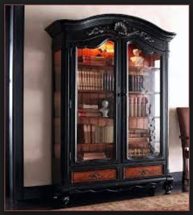 black wood bookcase with doors